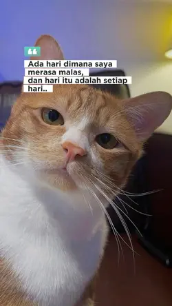 mager