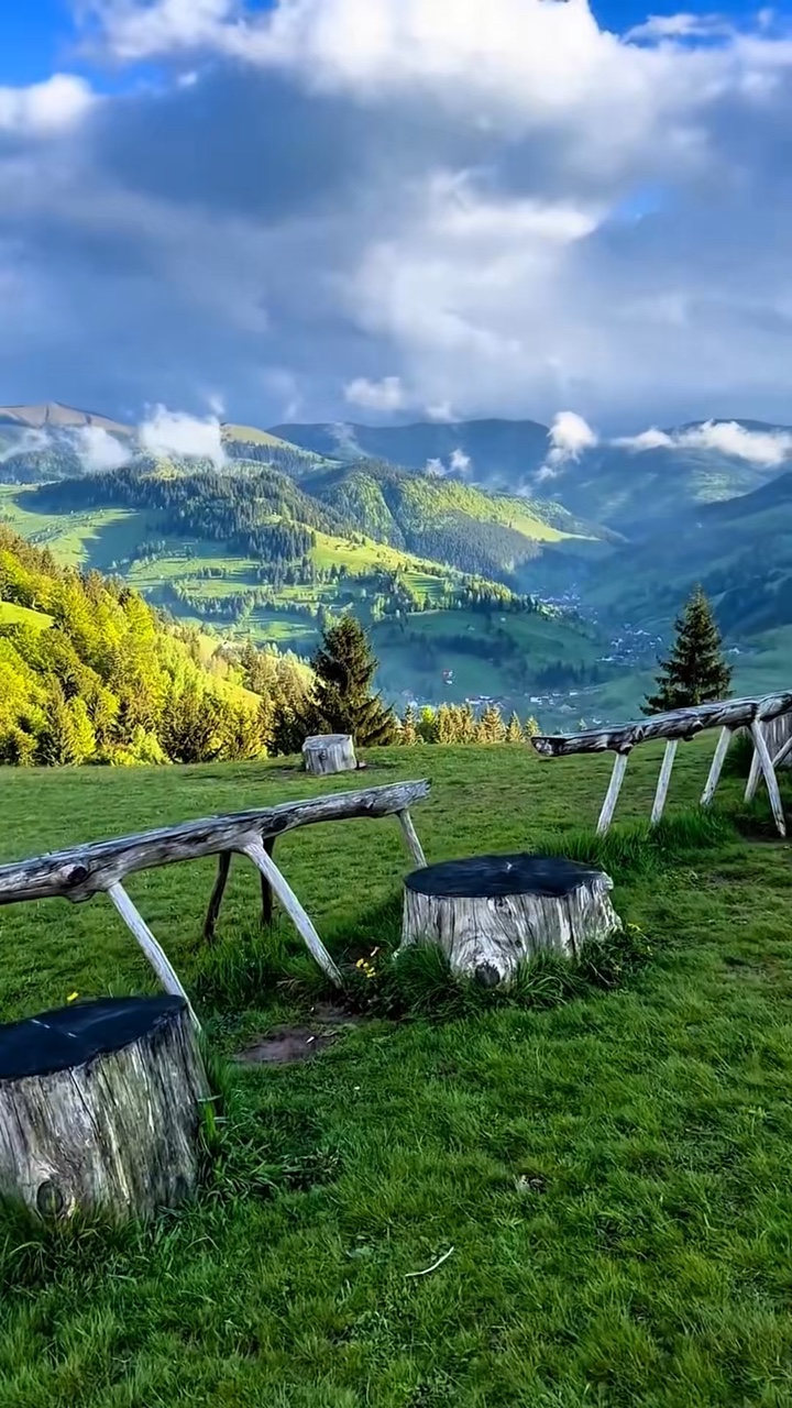 wild nature moments 