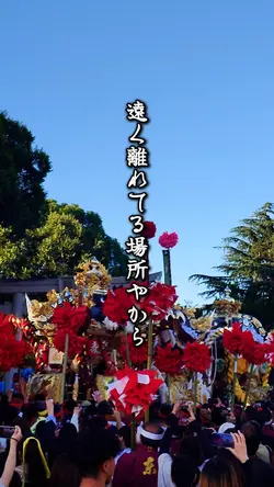 祭りの日に惚れたから

