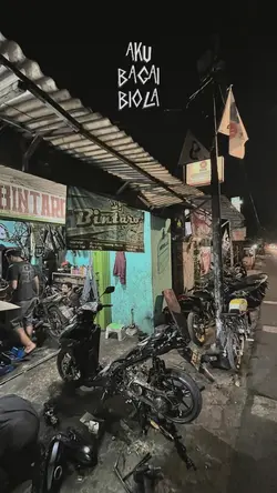 aku bagai biola yang