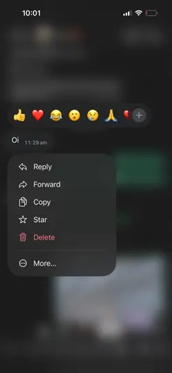 Brother messages