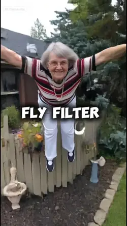 Fly filter
