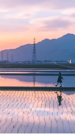 未来へ/キロロ　歌詞動画