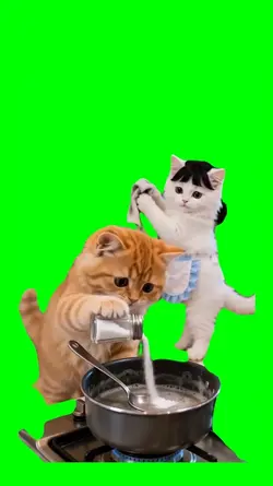 CAT WRONG COOKING