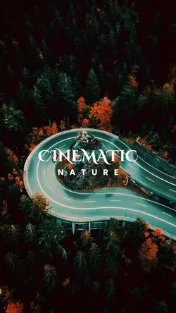 Cinematic Template