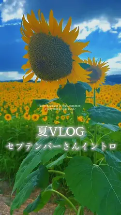 夏🌻VLOG📸