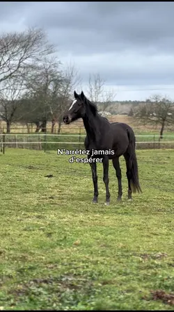 Welcome home Ice 🥹