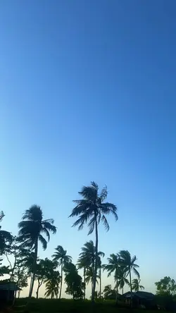 3 video