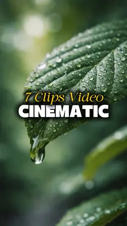 7 Videos Cinematic 