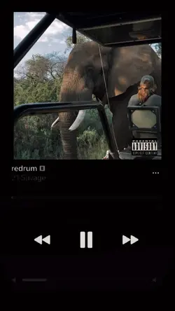 Album Cover Trend
