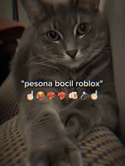 PESONA BOCIL ROBLOX