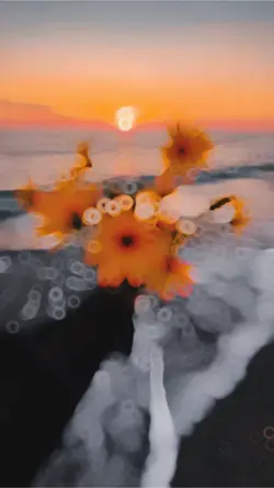 Slow + Motion 🦋❤️