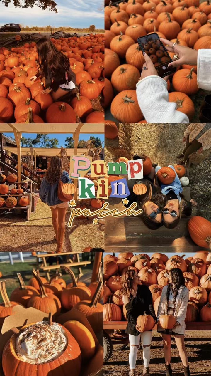 Pumpkin Patch Dump