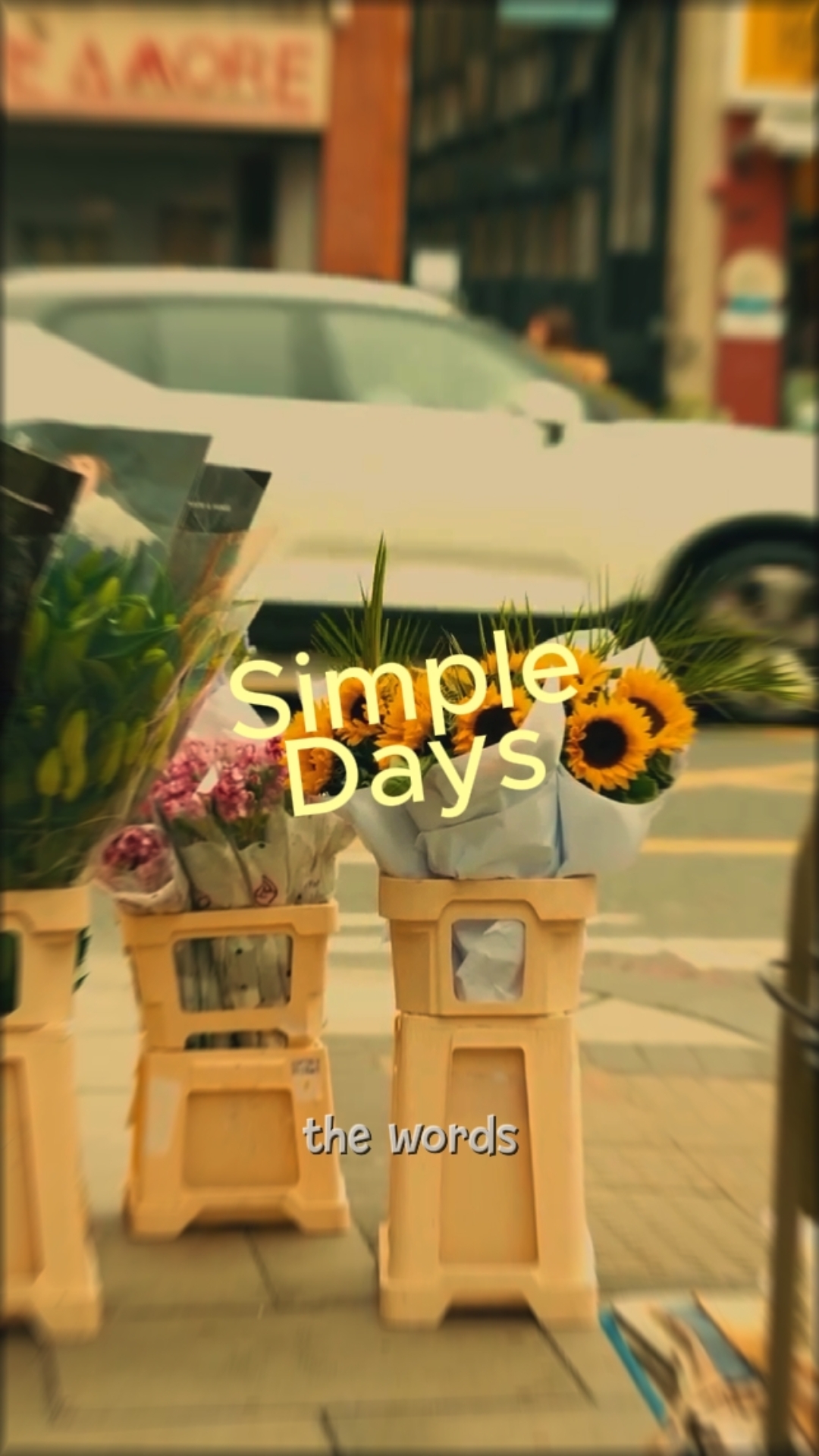 SIMPLE DAY'S