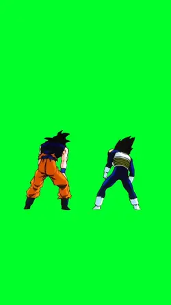 Goku and Vegeta Meme