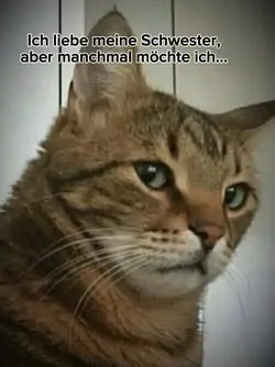 Ich liebe meine Schw