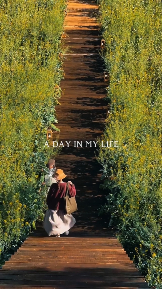 A DAY IN MY LIFE