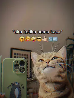 Aku ketika nemu kaca