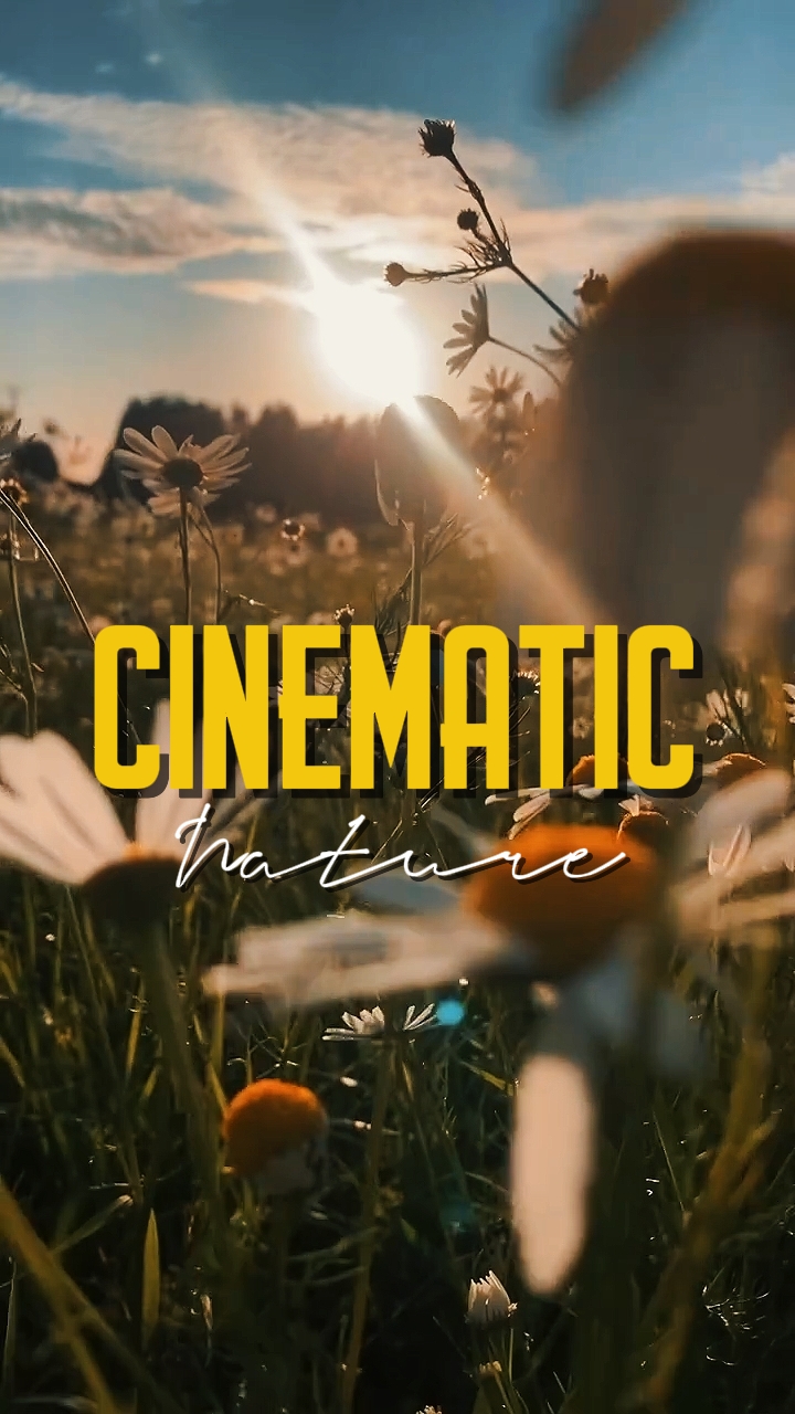 NATUREZA CINEMÁTICA 