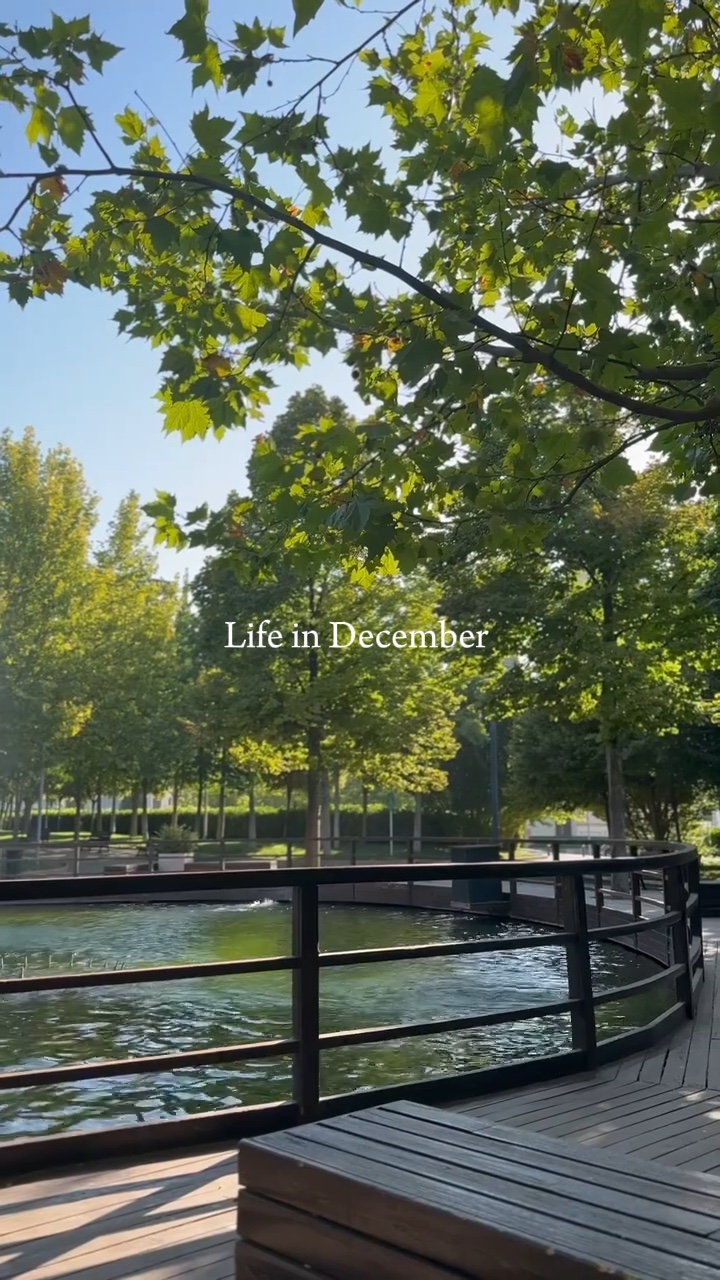 Life in December 