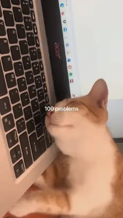 100 problems