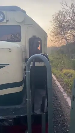 1 video 1 foto