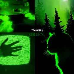 "You are ivy, right?