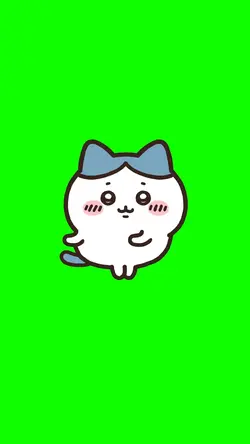 ケンチャナハチワレ