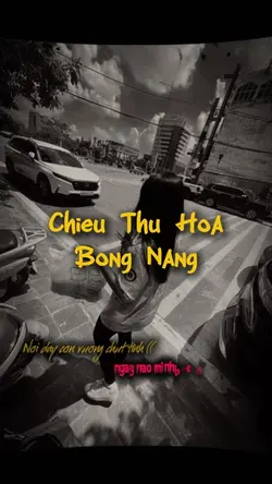 Chiều Thu Họa Bóng