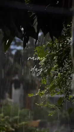 rainy