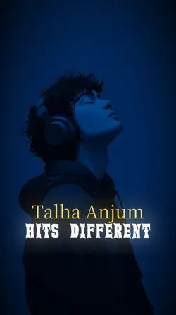 Talha Anjum