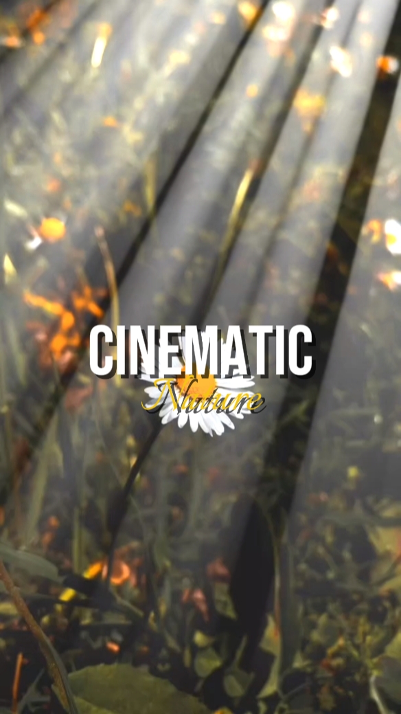 cinématique