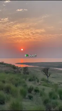 Pakistan template. 