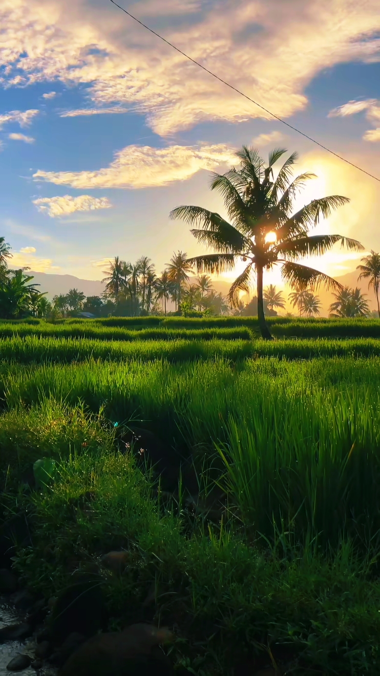vibes ng kalikasan