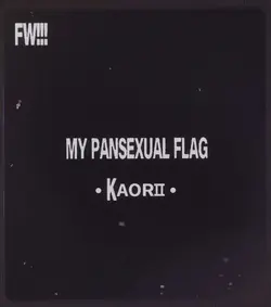 My pansexual flag 