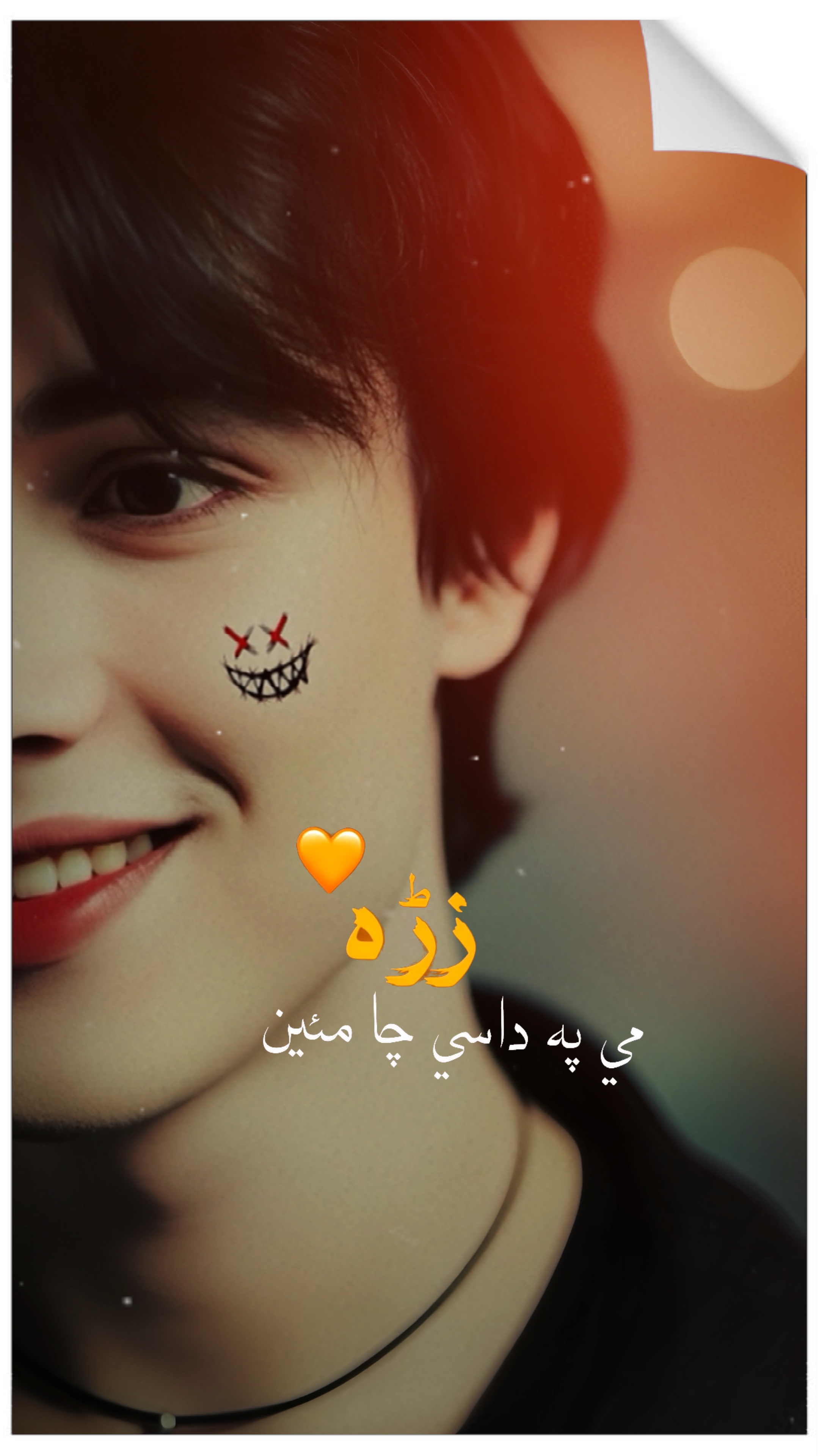 Cover Picture