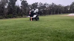 Quad wheelie vibes