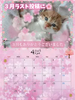 4月もよろしくお願いします/2025