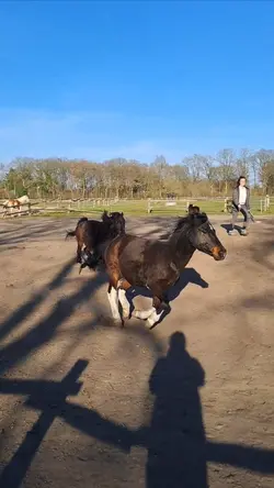 Feuer unterm Hintern