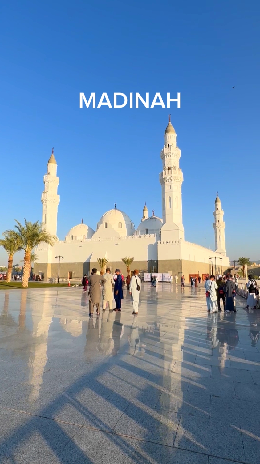 Médine | Arabe