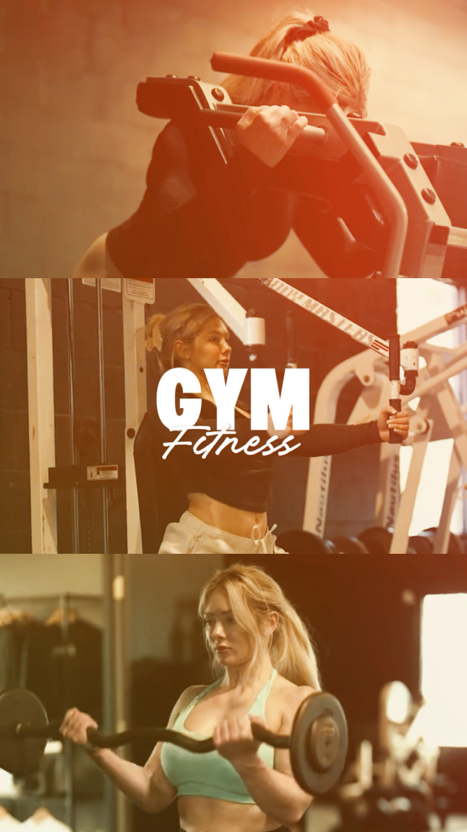 Gym fitness