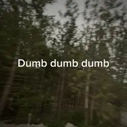 Dumb dumb