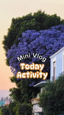 Mini vlog
