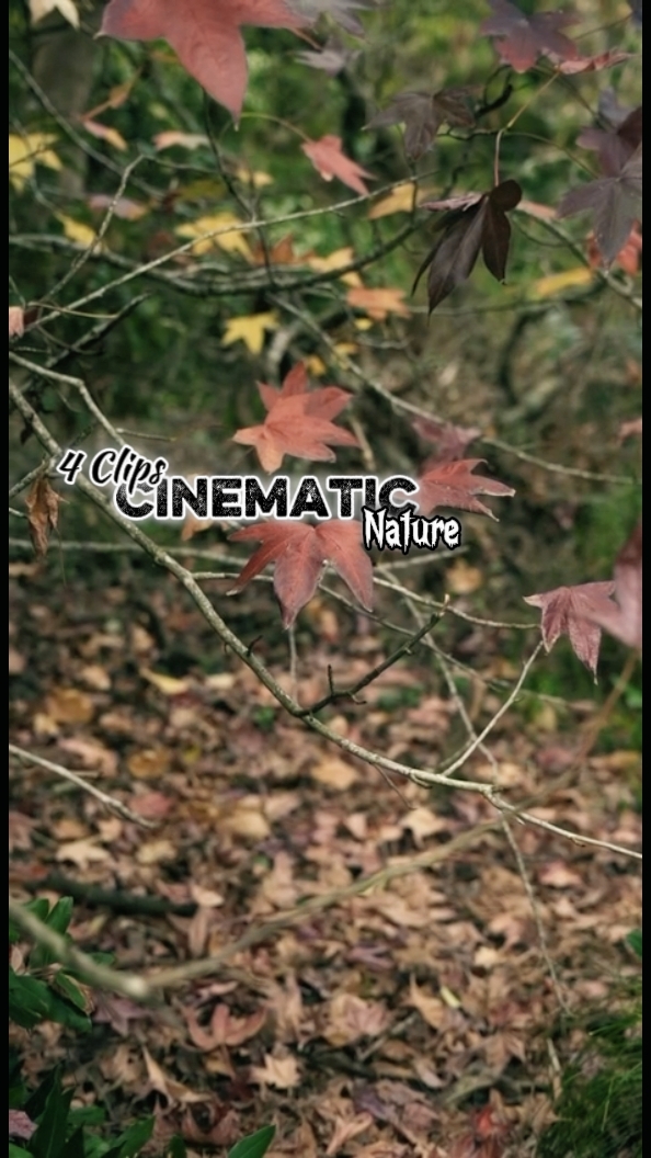 Cinematic 4 Clips 