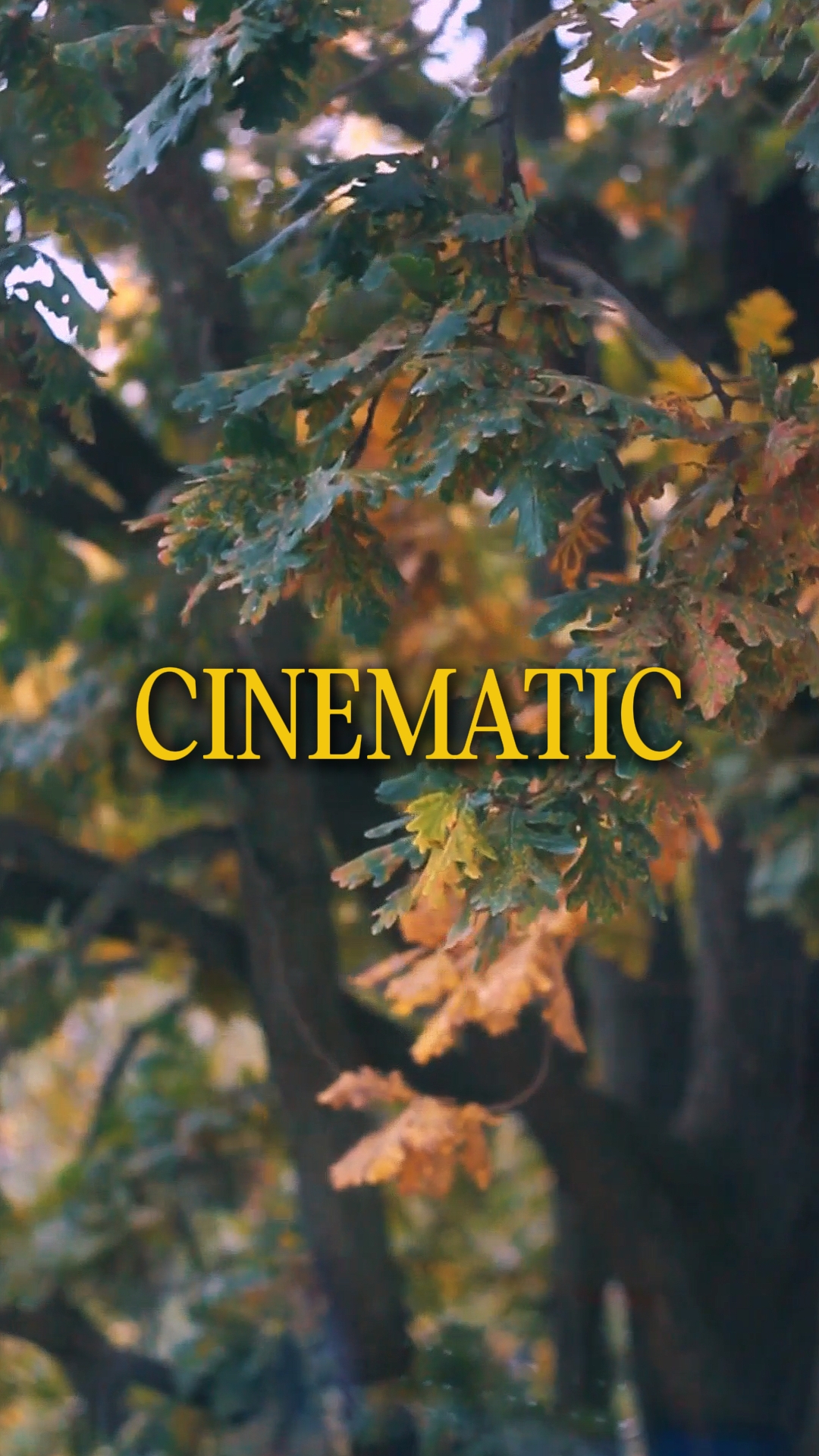 Cinematic 4 Videos