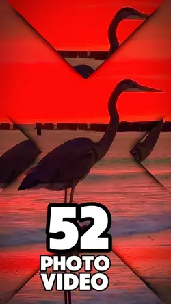 52 clip or photo 
