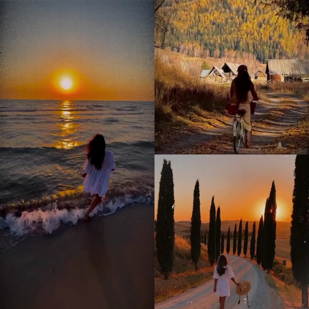 3 Video 1 Bild 
