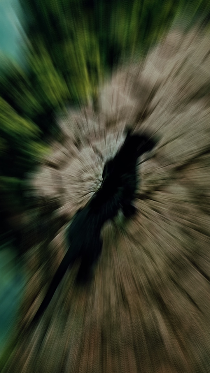 4 Clip ou photo