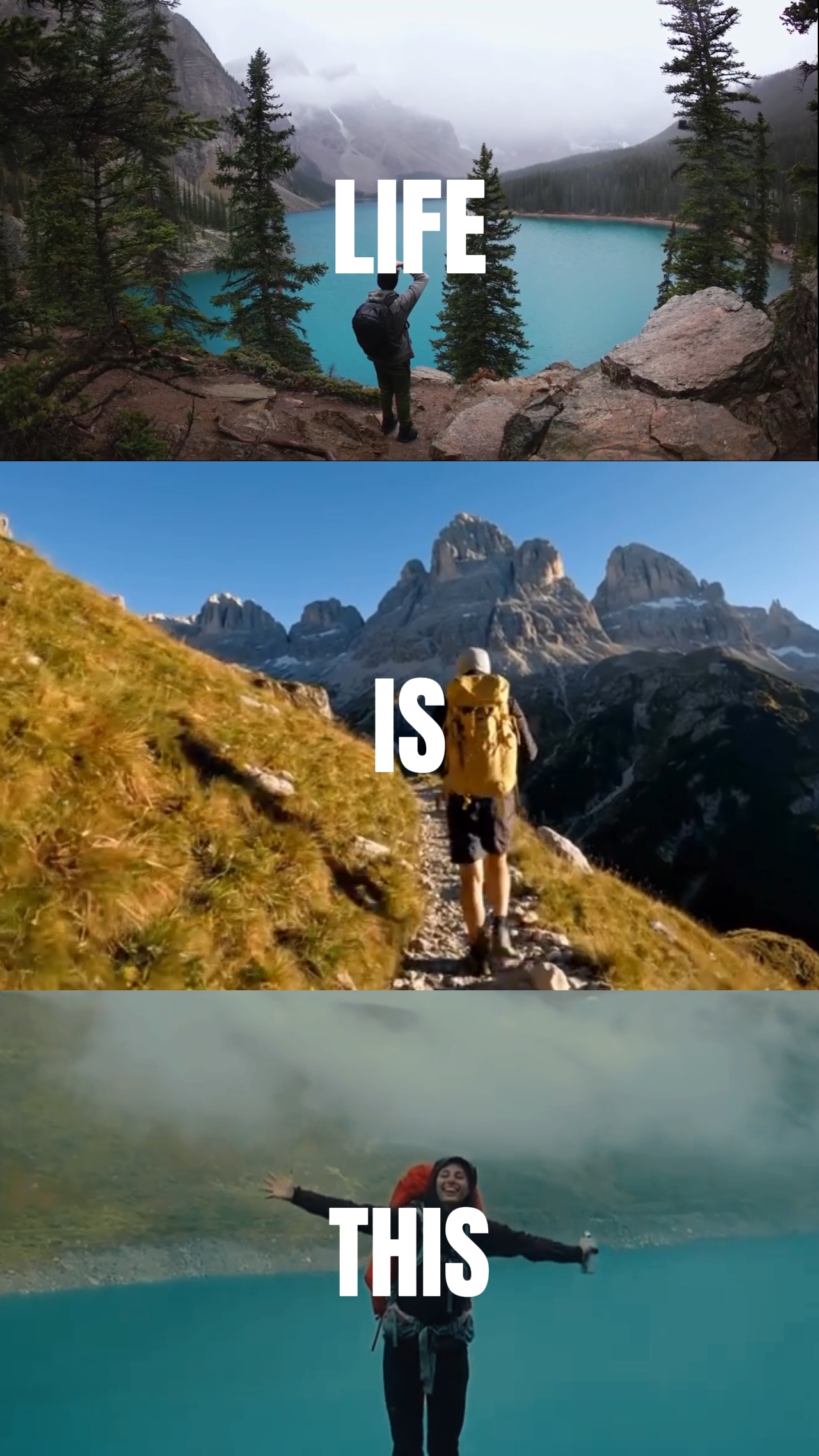 DAS LEBEN IST DAS 