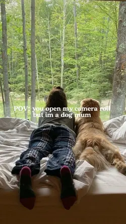 my camera roll 💗